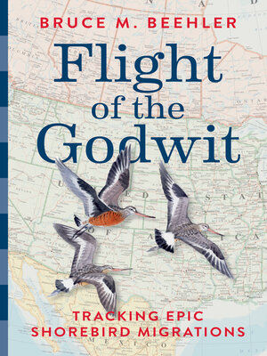 cover image of Flight of the Godwit